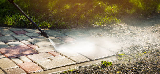 Best Rust Removal  in Greenwood, MS